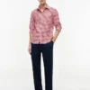 Chemise Oxford à carreaux vichy, coupe classique Chemise Oxford à carreaux vichy, coupe classique