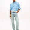 Chemise Oxford à carreaux vichy, coupe classique Chemise Oxford à carreaux vichy, coupe classique