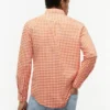 Chemise Oxford à carreaux vichy, coupe classique Chemise Oxford à carreaux vichy, coupe classique
