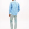 Chemise Oxford à carreaux vichy, coupe classique Chemise Oxford à carreaux vichy, coupe classique