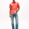Chemise Oxford teinte en pièce, coupe classique Chemise Oxford teinte en pièce, coupe classique