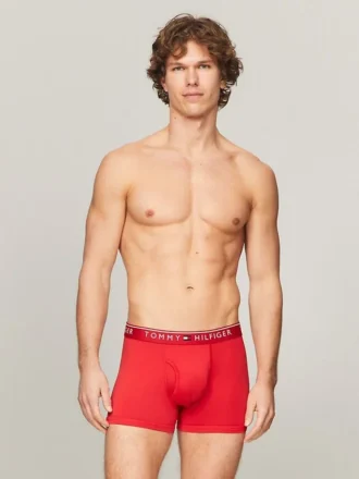 Lot de 3 boxers TH Micro
