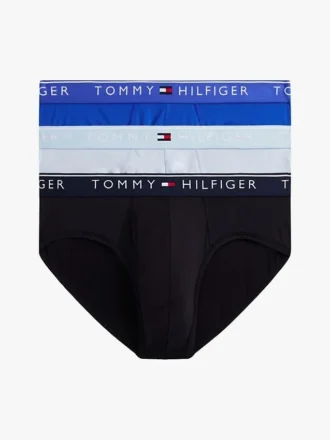 Lot de 3 slips TH Micro