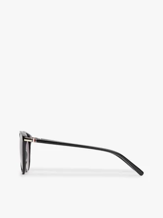 Lunettes de soleil à monture pantos