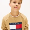 Sweat-shirt raglan pour enfant avec logo Tommy Flag Sweat-shirt raglan pour enfant avec logo Tommy Flag