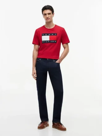 T-shirt avec grand logo drapeau