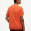 T-shirt Hilfiger Box Logo T-shirt Hilfiger Box Logo