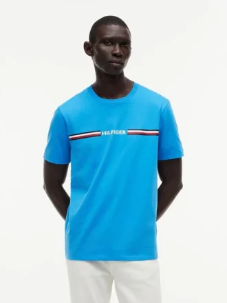 T-shirt Hilfiger Signature Stripe Logo
