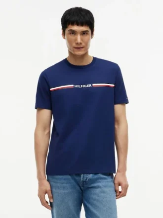 T-shirt Hilfiger Signature Stripe Logo