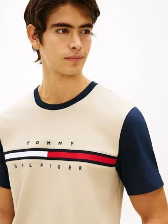 T-shirt à manches contrastées et logo drapeau