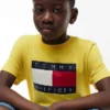 T-shirt Tommy Flag Logo pour enfant